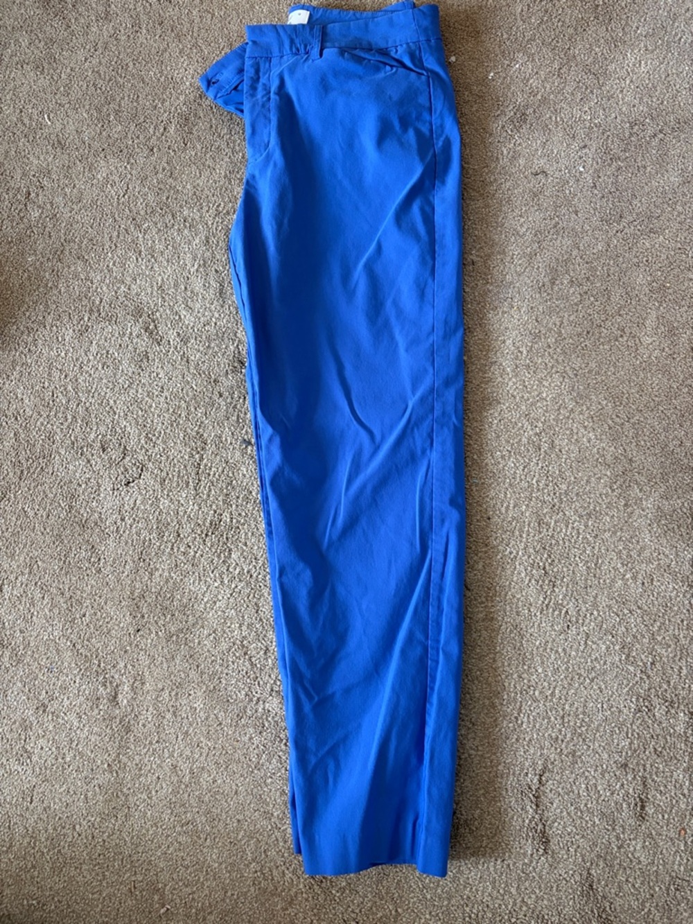 Simply Vera Vera Wang Bright Royal Blue Trousers